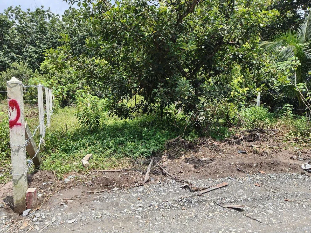 Bán đất 70m² tại Trường Hòa, Tây Ninh – 250 triệu - Ảnh thu nhỏ 5