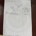 Bán gấp mặt tiền đường Trần Văn Giàu, Ninh Kiều, Cần Thơ - 1.350m2 giá 70 tỷ - Ảnh thu nhỏ 6