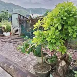 Bán đất mặt tiền 86m2 Quy Nhơn 2 tỷ 50 - Ảnh thu nhỏ 2