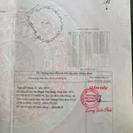 Bán đất rừng sản xuất 1 ha Đảo Cái Chiên Quảng Ninh - Ảnh thu nhỏ 2