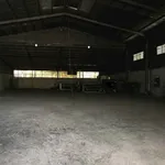 Bán xưởng 1.400m² mặt tiền Thanh Niên Bình Chánh - Ảnh thu nhỏ 2