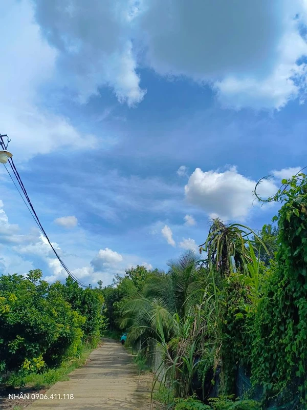 Bán đất sào Tân Thiện gần Lê Quý Đôn 1 tỷ 6