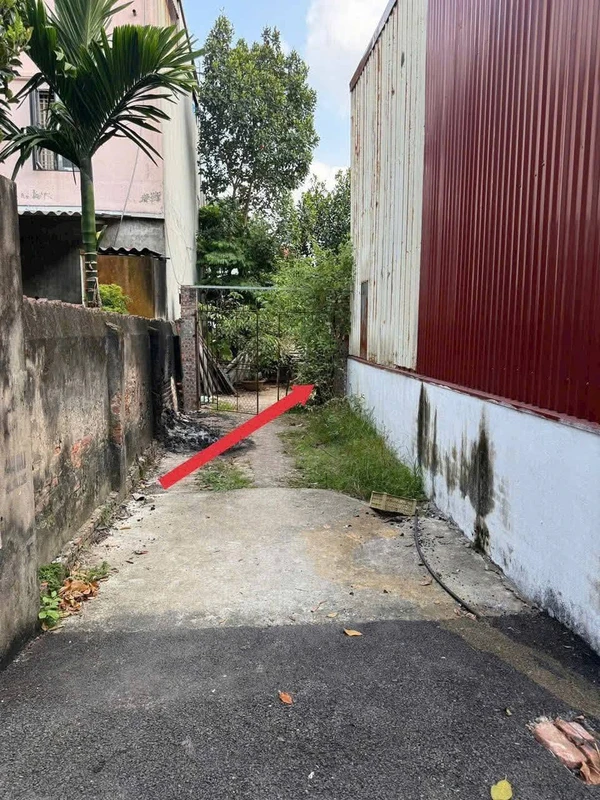 Bán lô đất 100m² An Lạc, Bình Chánh