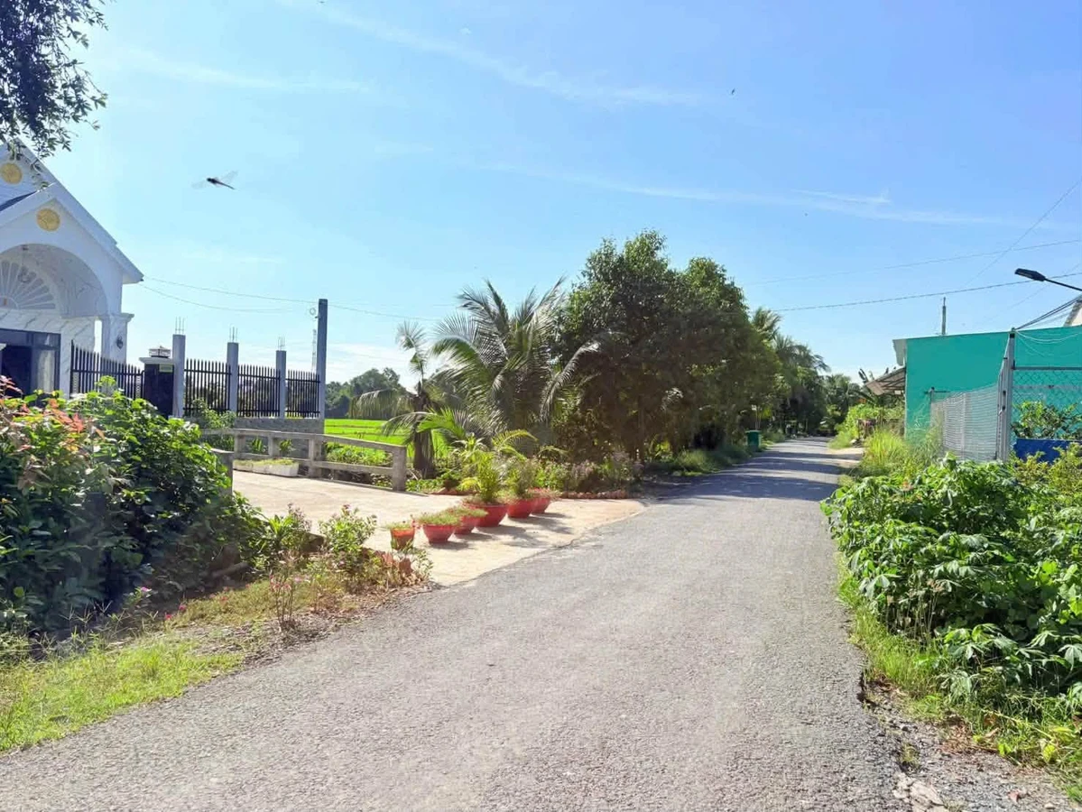 Bán 185m đất thổ cư mặt tiền nhựa Thanh Phú Bến Lức Long An - Ảnh 1