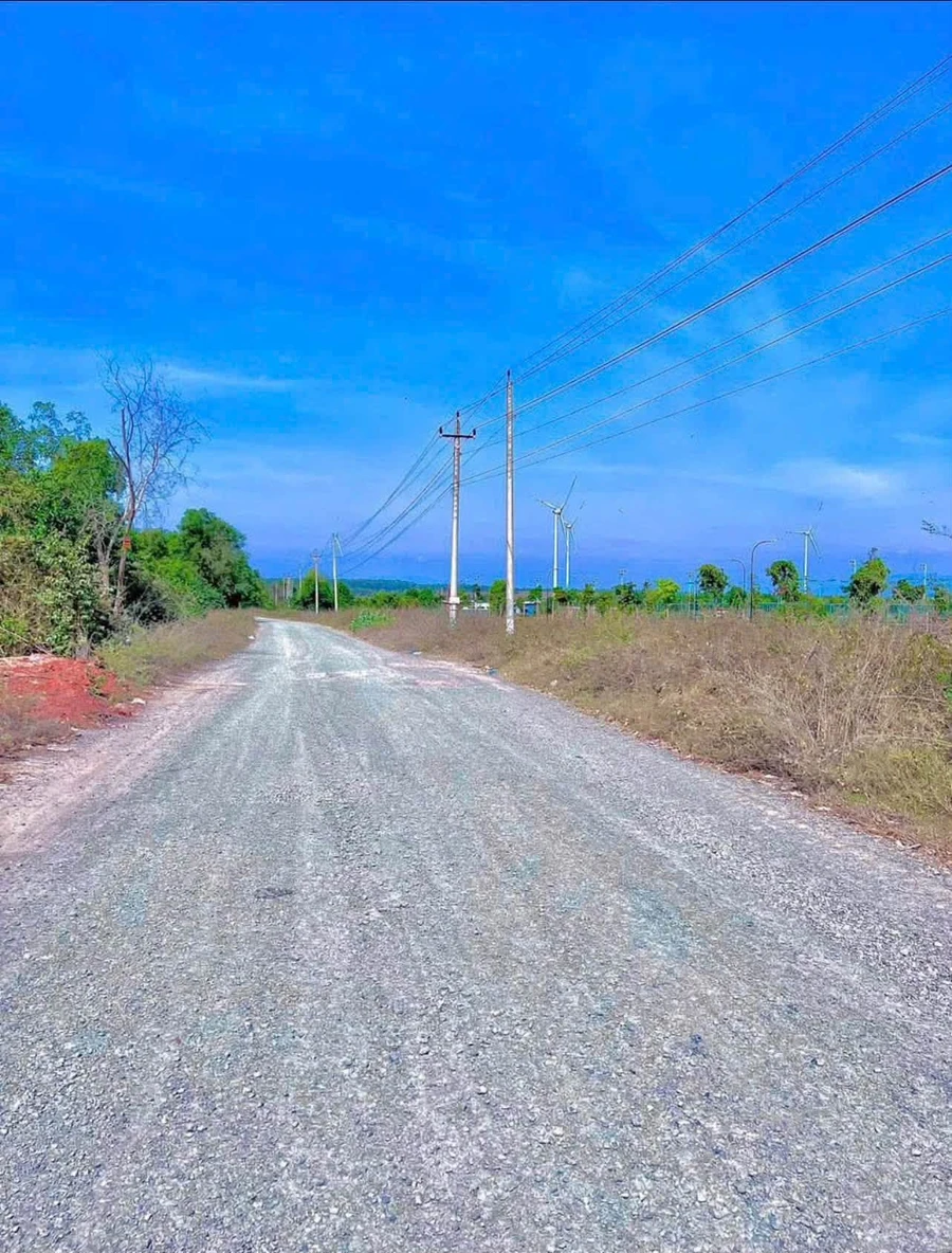 Bán đất biển Tiến Thành 2000m² sổ hồng riêng, view cánh quạt gió - Ảnh thu nhỏ 5