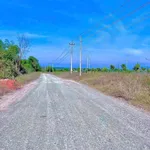 Bán đất biển Tiến Thành 2000m² sổ hồng riêng, view cánh quạt gió - Ảnh thu nhỏ 5