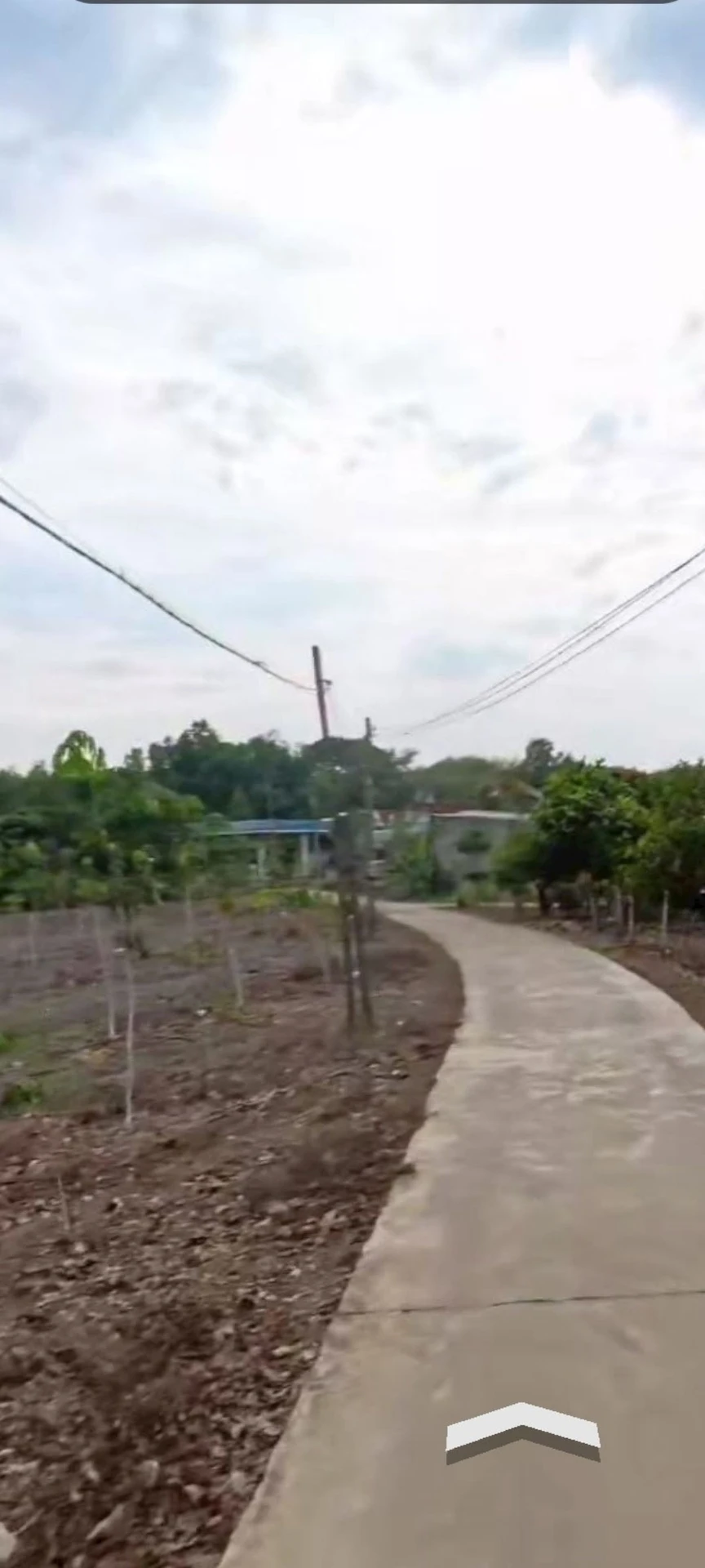 Bán đất cao su 26000m² Tân Tiến, Bình Dương 9 tỷ 5 - Ảnh 1