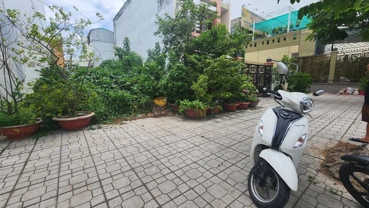 Bán đất mặt tiền Nguyễn Thị Định 113m2, Tân Bình - Ảnh thu nhỏ 3
