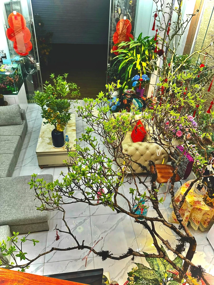 Bán nhà 3 tầng 95.6m2 có gara ô tô Hải Dương - Ảnh thu nhỏ 3