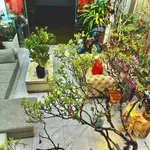 Bán nhà 3 tầng 95.6m2 có gara ô tô Hải Dương - Ảnh thu nhỏ 3