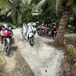 Bán nền 345m² Phú Khương, Bình Chánh 270 triệu - Ảnh thu nhỏ 1