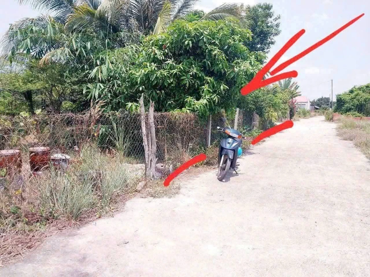 Bán đất 800m2 Bà Rịa Vũng Tàu 1,59 tỷ - Ảnh thu nhỏ 5
