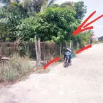 Bán đất 800m2 Bà Rịa Vũng Tàu 1,59 tỷ - Ảnh thu nhỏ 5