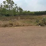 Bán đất Dầu Tiếng, Bình Dương 100m2, giá 4 tỷ - Ảnh thu nhỏ 3