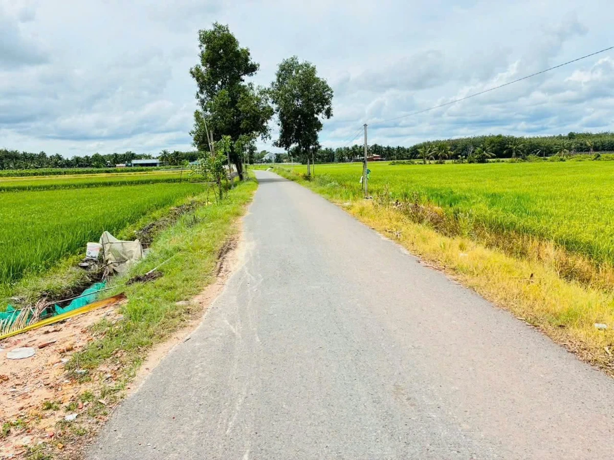 Bán đất nền mặt tiền đường nhựa DH13, 1000m2, giá 570 triệu, Phường Ninh Thạnh, Tây Ninh - Ảnh thu nhỏ 3