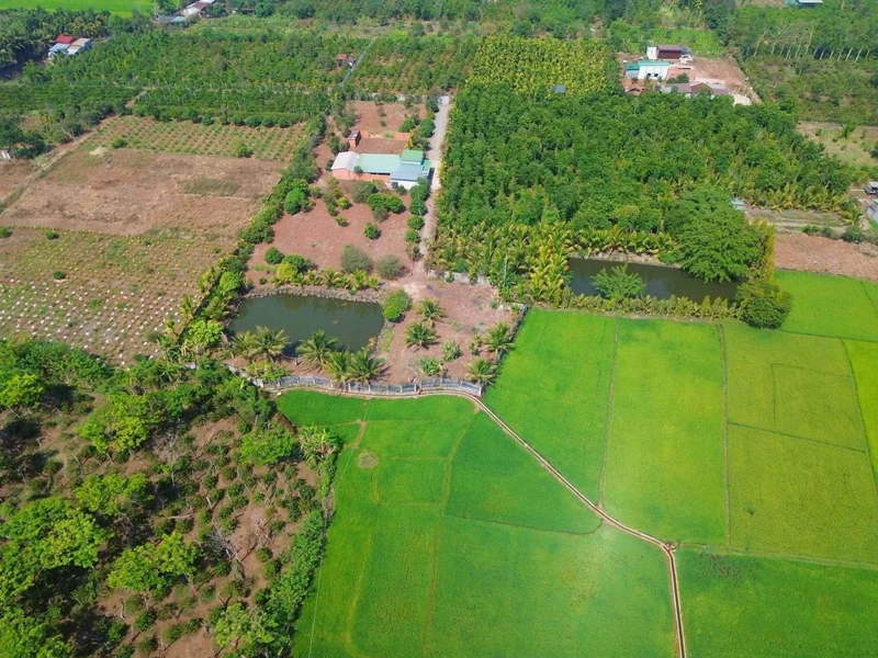 Bán đất vườn 6,4 sào view ruộng Hoà Khánh Bà Rịa 3,99 tỷ