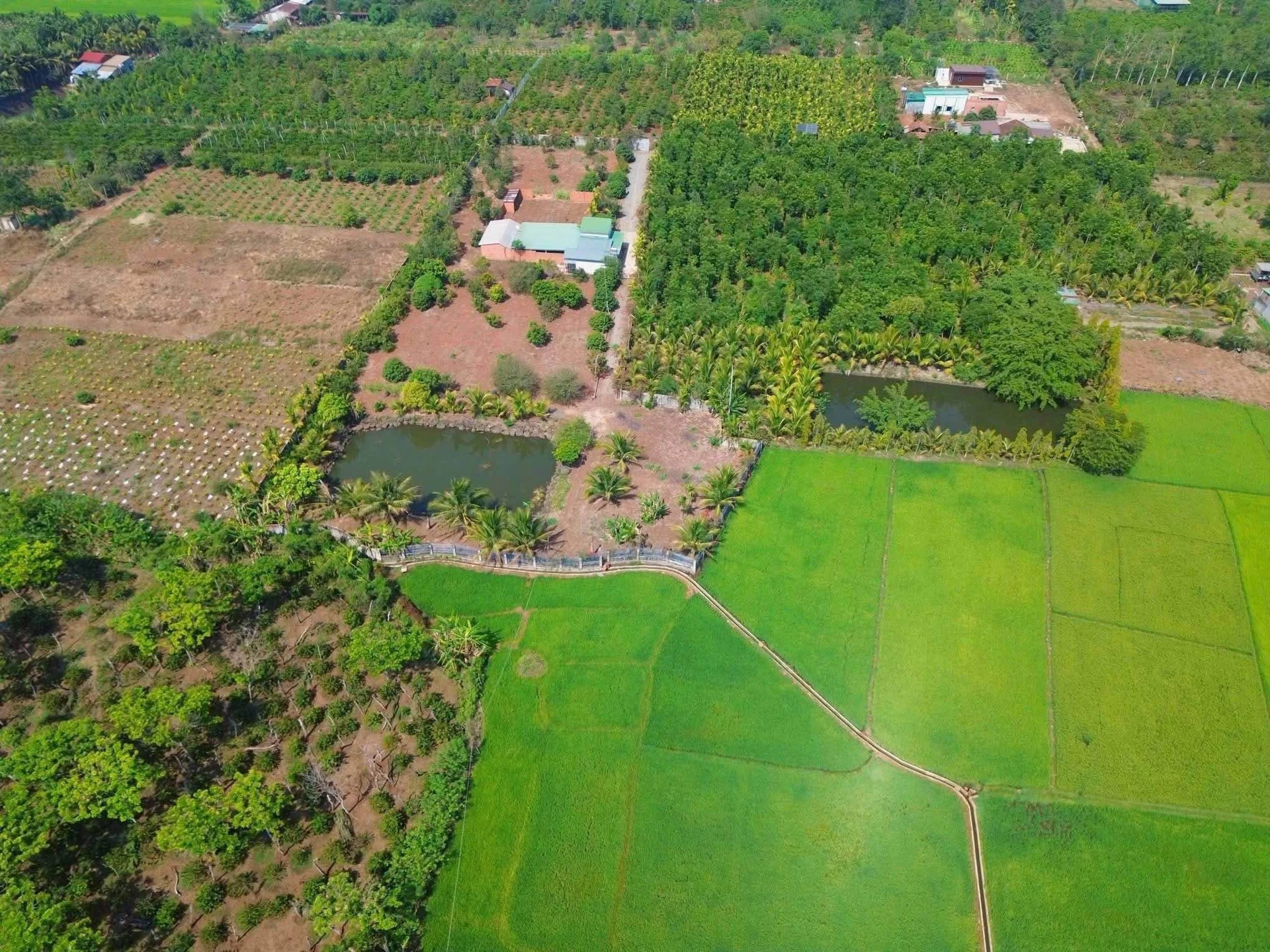 Bán đất vườn 6,4 sào view ruộng Hoà Khánh Bà Rịa 3,99 tỷ - Ảnh 1