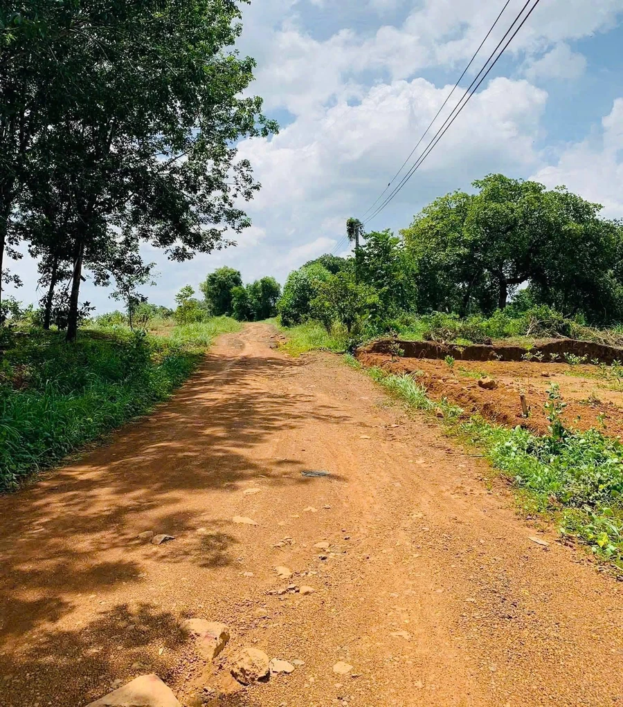 Bán đất 200m² tại Đồng Phú, Bình Phước, 120 triệu - Ảnh thu nhỏ 3