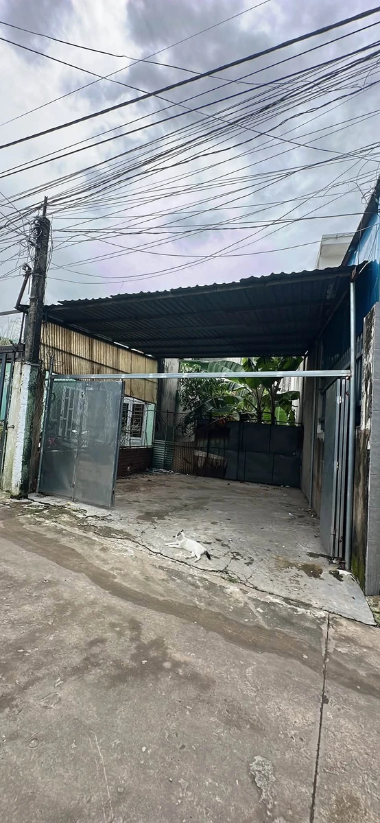 Bán đất sổ riêng 120m² gần trường Phước Tân, Đồng Nai - Ảnh thu nhỏ 5