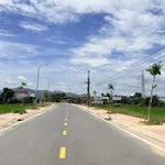 Bán lô đất mặt tiền HL5 Diên Điền 765.9m² Nhà Bè - Ảnh thu nhỏ 2
