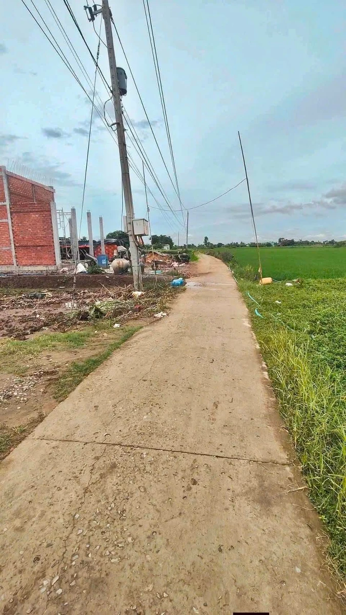 Bán đất 135m² Tân Thành Gò Công Đông, giá 240 triệu - Ảnh 1