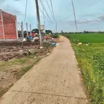 Bán đất 135m² Tân Thành Gò Công Đông, giá 240 triệu - Ảnh thu nhỏ 1