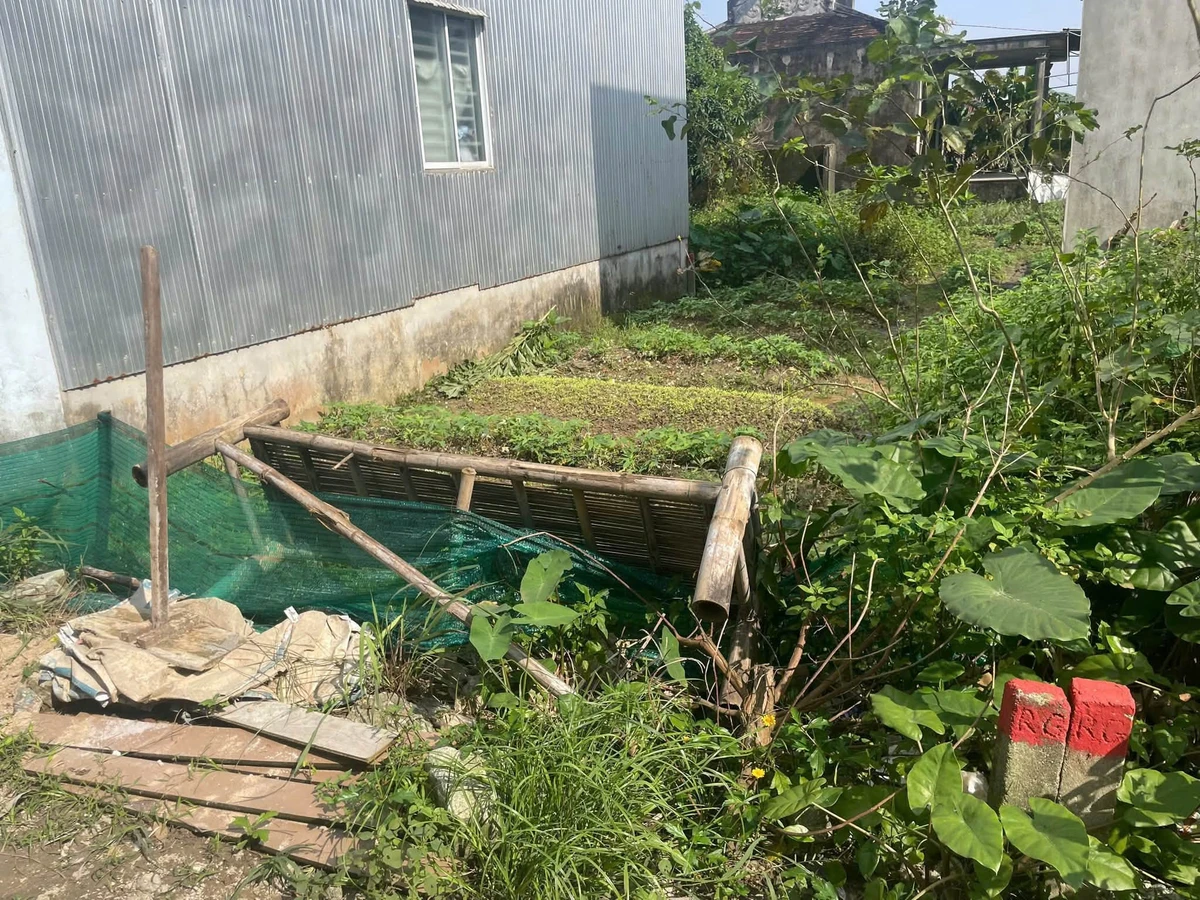 Bán lô đất 60m2 kiệt Nguyễn Hữu Cảnh Quận 3, 1,2 tỷ - Ảnh thu nhỏ 2