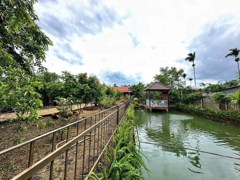 Nhà vườn Buôn Ma Thuột 1000m2 gần chợ Đạt Lý, giá 3.9 tỷ