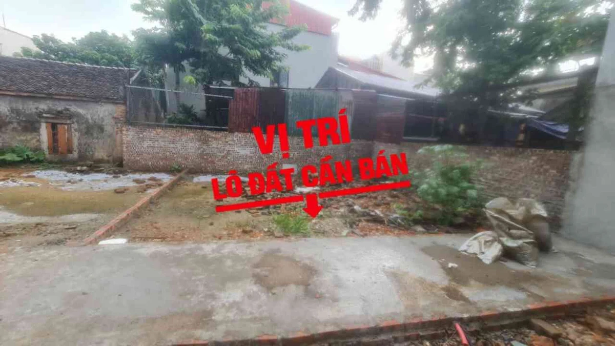 Bán đất nằm ngõ Tiến Bào 2, 45m2, 1.2 tỷ, Bình Chánh - Ảnh thu nhỏ 3