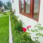 Bán vườn 1.600m² Hàm Chính, Bình Thuận 1 tỷ 790 - Ảnh thu nhỏ 2
