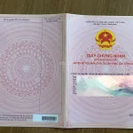 Nhà có 3 phòng trọ - mặt tiền 12m - có thể chia 3 nền - KDC sầm uất - gần trường tiểu học An Hạ - Ảnh thu nhỏ 12