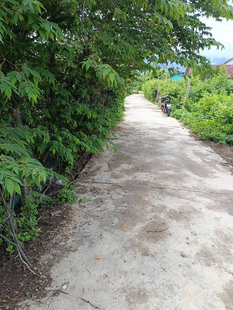 Bán 2 lô đất thổ cư Ninh Hòa 210m², 850 triệu/lô - Ảnh thu nhỏ 4