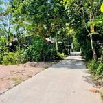 Bán lô đất 100m² kiệt Minh Mạng, Quận 5 - Ảnh thu nhỏ 3