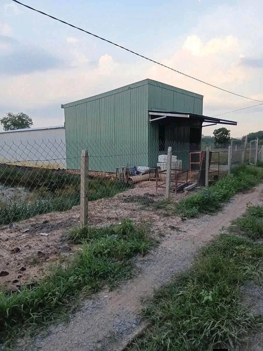 Bán lô đất vườn Phú An 1.156m2, giá 2 tỷ - Ảnh thu nhỏ 3