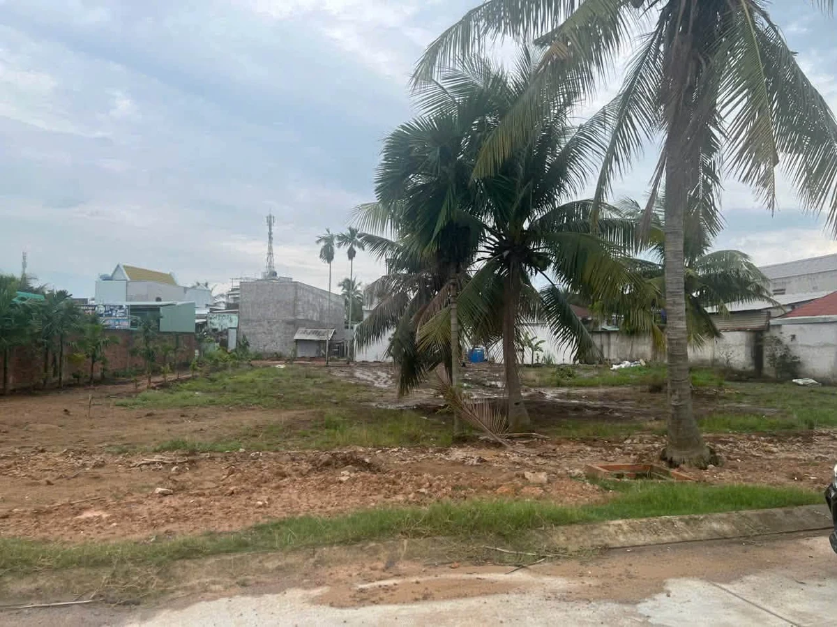 Bán lô đất 200m² tại thị trấn Đức Hòa, Long An - Ảnh thu nhỏ 2