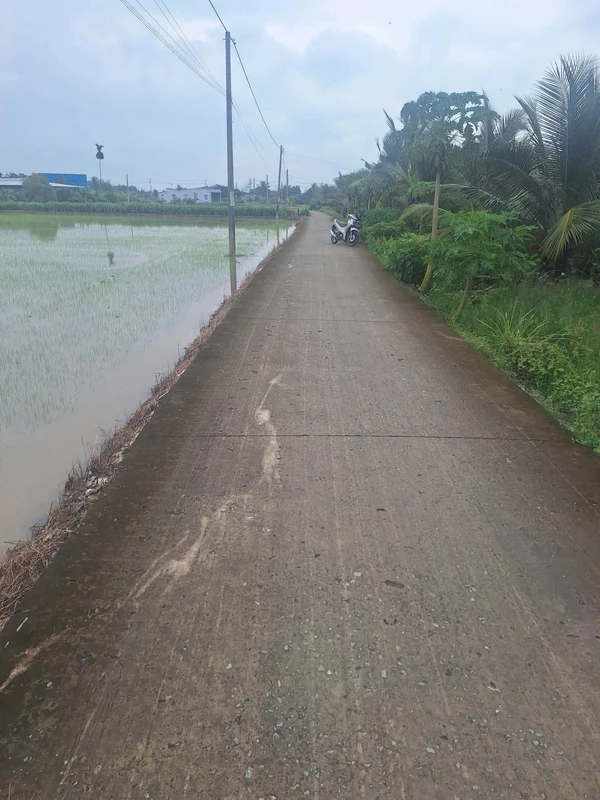 Bán đất mặt tiền đường đan 4m Trần Văn Rỉ, Bình Trinh Đông, Tân Trụ, Long An, giá 820 triệu