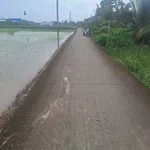 Bán đất mặt tiền đường đan 4m Trần Văn Rỉ, Bình Trinh Đông, Tân Trụ, Long An, giá 820 triệu - Ảnh thu nhỏ 1