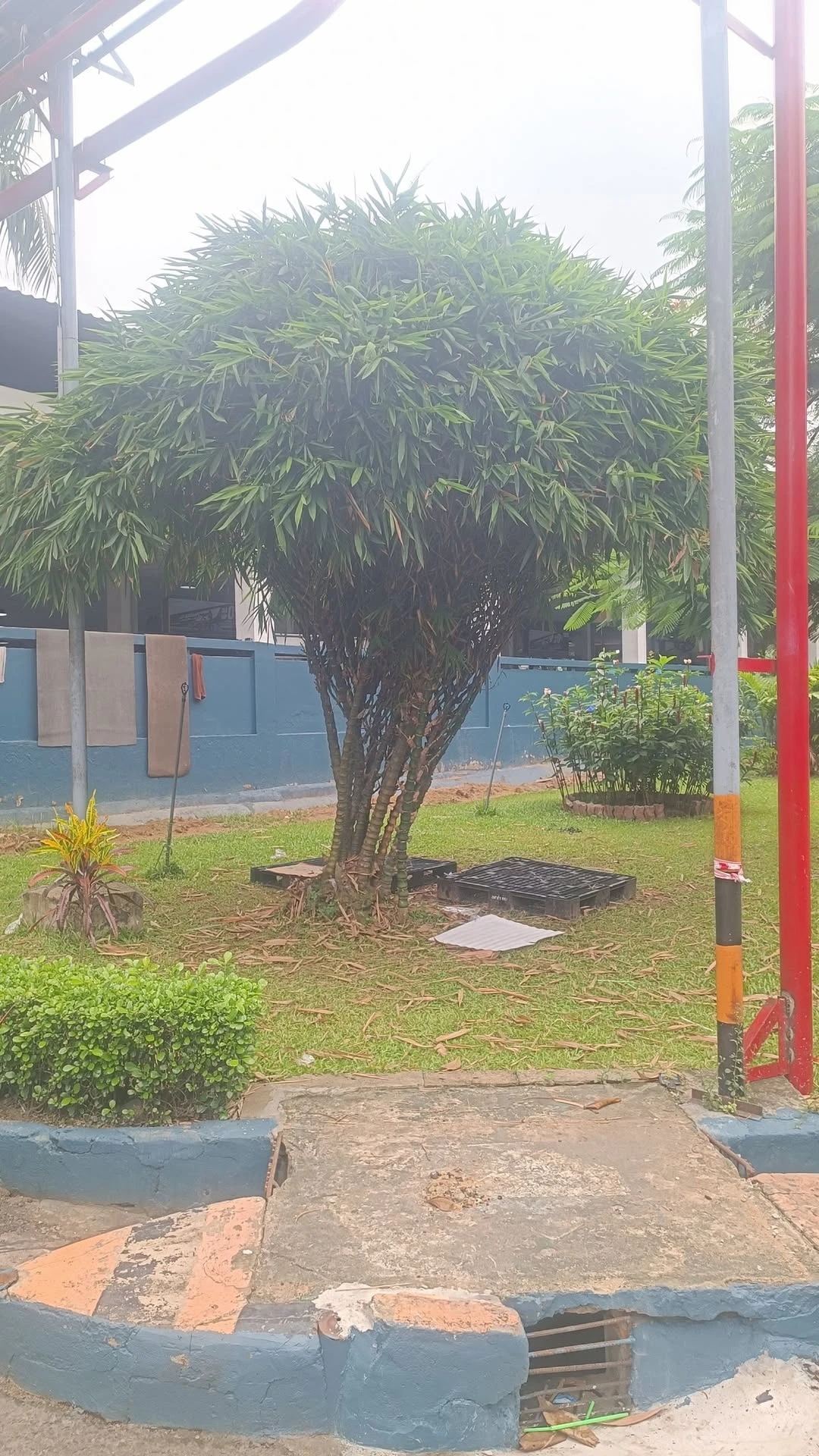 Bán đất sổ riêng thổ cư 4x20 (80m²) 750 triệu Tân Triều - Ảnh 1