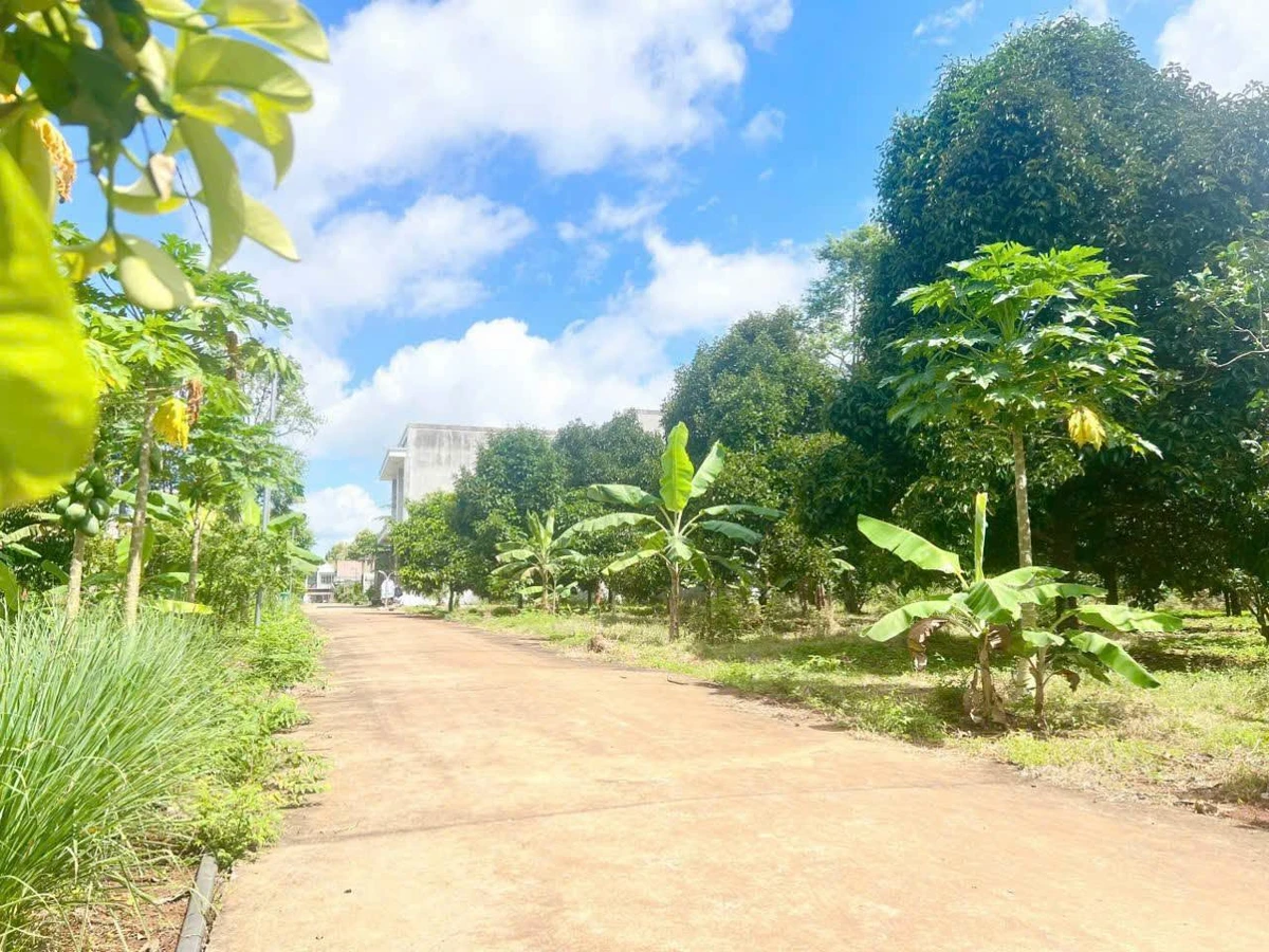 Bán nền đất 100m² khu TĐC Suối Chồn, TP Đồng Nai - Ảnh thu nhỏ 4