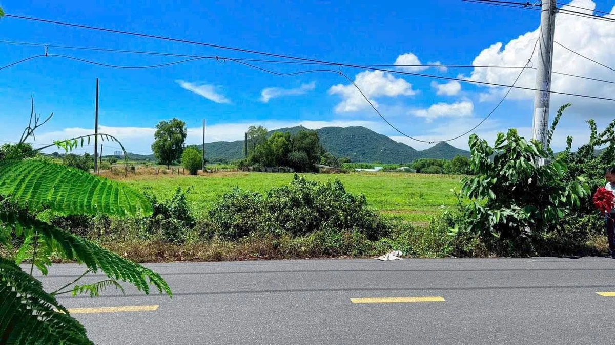 Bán đất 186.2m2 Phước Hải, gần biển, Nhà Bè - Ảnh thu nhỏ 4