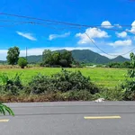 Bán đất 186.2m2 Phước Hải, gần biển, Nhà Bè - Ảnh thu nhỏ 4