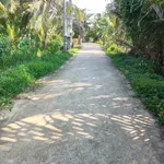 Bán đất vườn dừa mặt tiền 3.5m, 3575m² tại Bình Đại - Ảnh thu nhỏ 4