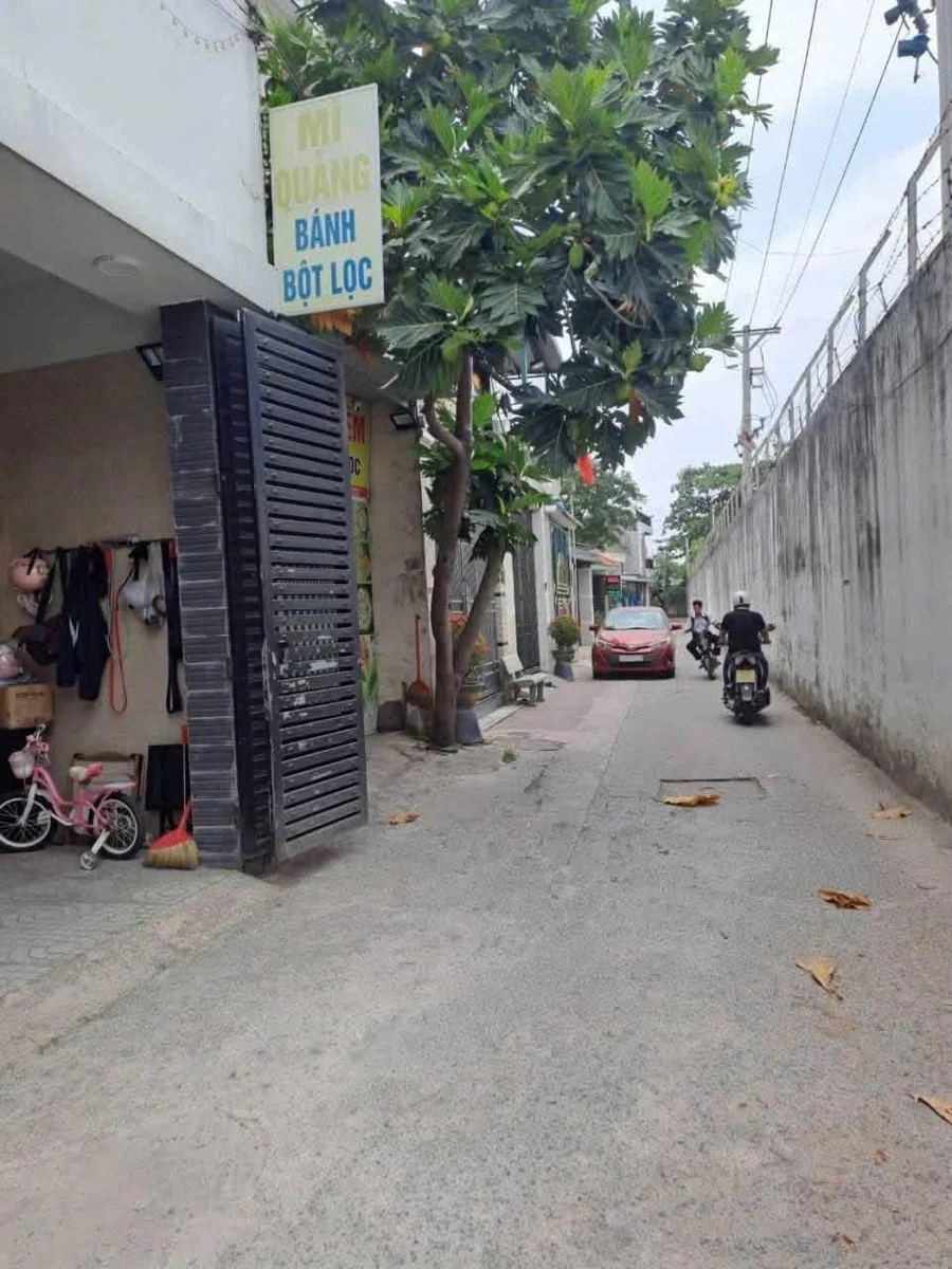 Bán đất Bình Chánh 185m2, 3.2 tỷ - Ảnh thu nhỏ 3