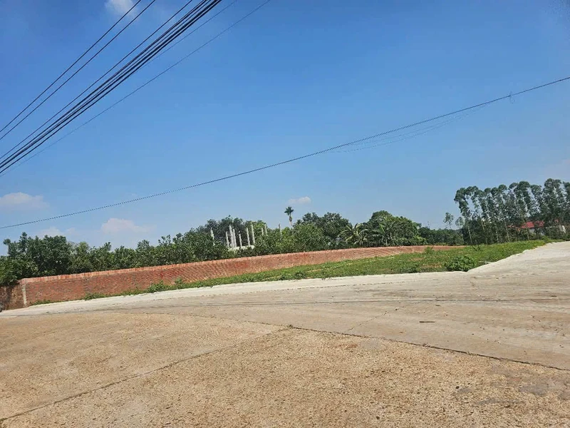 Bán 4 lô đất liền kề 100m², mặt tiền 5m, Phú Thọ 1.2 tỷ/lô