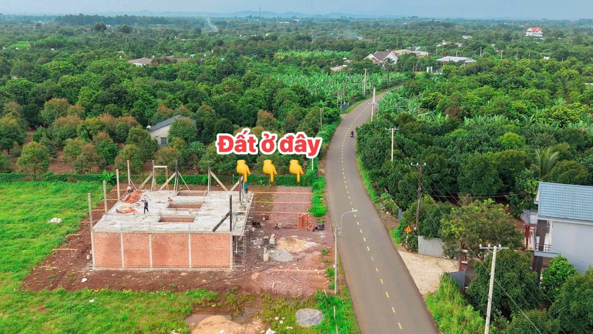 Bán đất mặt tiền Suối Chồn 5x32m (160m²) Bình Chánh - Ảnh thu nhỏ 3