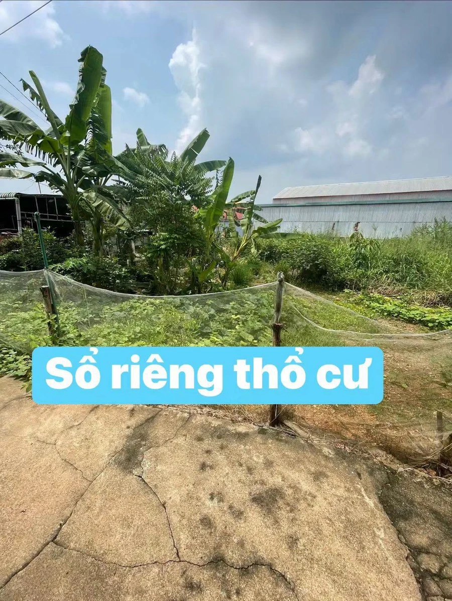Bán đất nền 90m² trung tâm Biên Hòa 500 triệu - Ảnh thu nhỏ 3