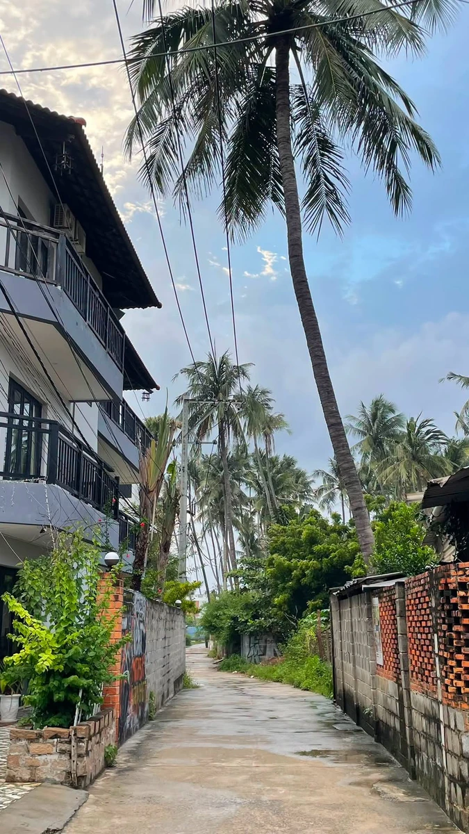 Bán đất thổ cư 190m2 lô góc Nguyễn Đình Chiểu, Mũi Né - Ảnh 1