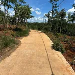 Bán lô đất vườn full cà phê và tiêu có thổ cư 680tr/2000m2 sẵn 300m2 thổ cư đường bêtông 0938 609 *** - Ảnh thu nhỏ 5