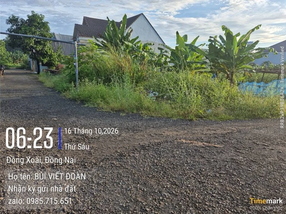 Bán lô góc 2 mặt tiền 312,5m² Khu Phương Đông 1.5 tỷ - Ảnh 1