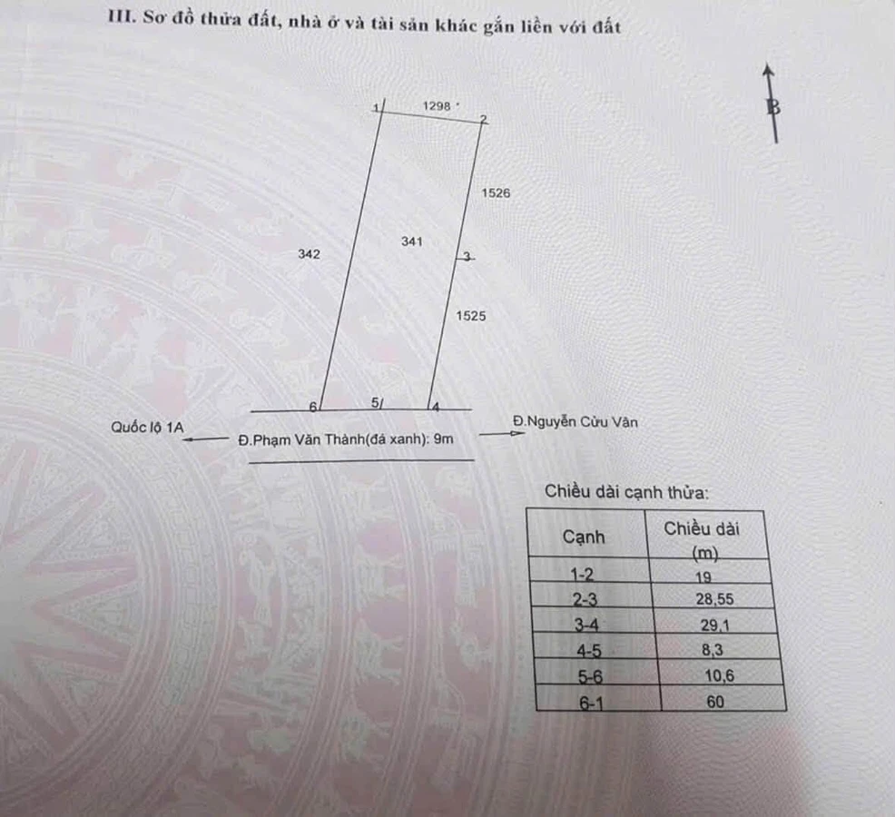 Bán 1100m² đất lúa mặt tiền Phạm Văn Thành, Tân An, Long An - Ảnh thu nhỏ 5